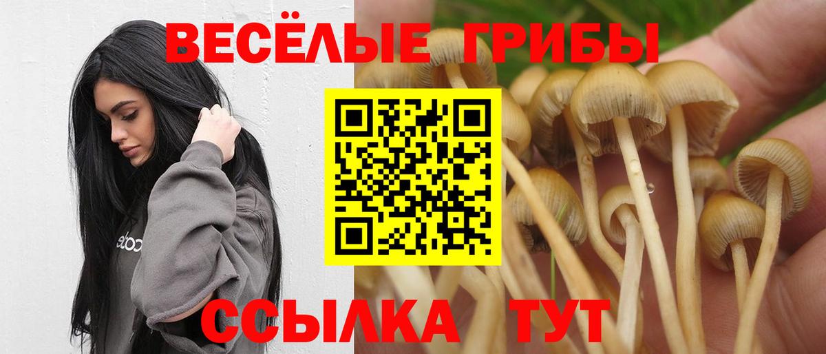 Красный Сулин  Галлюциногенные грибы GOLDEN TEACHER  Вход с VPN 